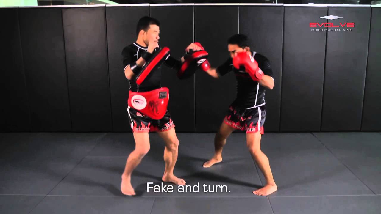 10 Muay Thai Knockout Targets You Need To Know - Evolve University