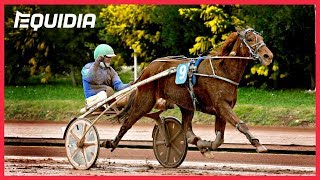 Vidéo de la course PMU PRIX DES BOUTONS D'OR