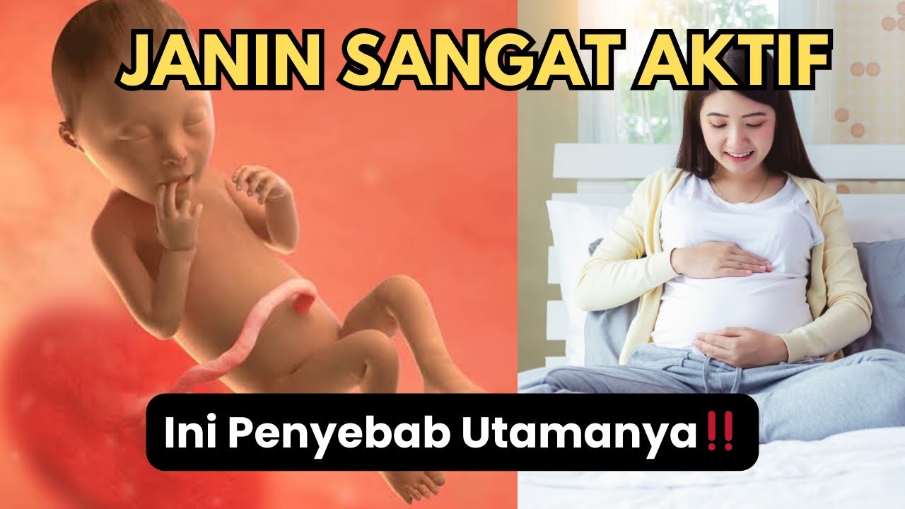 Penyebab Utama Janin di Dalam Kandungan Terlalu Aktif Bergerak