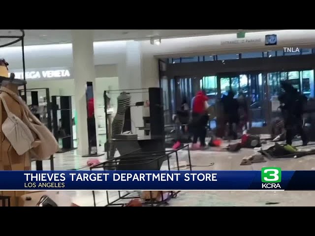 Video Brazen 'smash and grab' robbers target LA Nordstrom - ABC News