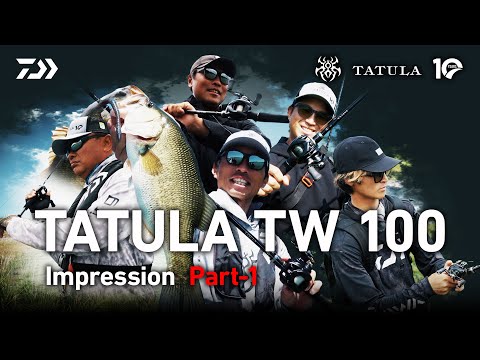 ダイワ TATULA TW 100H リール　売り切り希望　説明必読 ダイワ ベイトリール 24タトゥーラ(TATULA) TW 100HL(左): 釣具