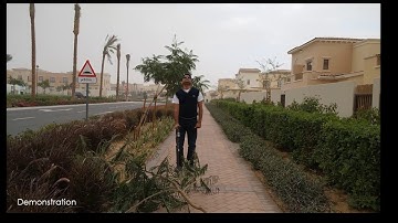 Project for the Visually Impaired