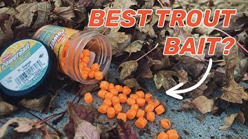 EASIEST Way To Catch STOCKED TROUT!!