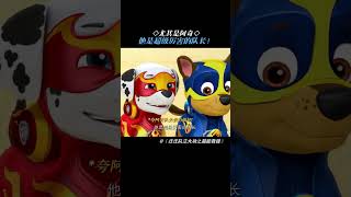 毛毛：阿奇是超级厉害的队长！#汪汪队立大功之超能救援  #鹅滴神片