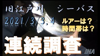 【４K】旧江戸川 バチ抜け　シーバス調査　3/3,4　なぎさポニーランド　堀江ドッグ