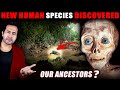 BIG CONFUSION! New Human Species Discovered That&#39;ve Raised Doubts On Human Origins