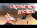 Ловля окуня на мормышку, плотва в прилове. Стритфишинг 2019 - сезон открыт!!!