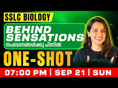 Brima Model: The Science Behind The Sensation