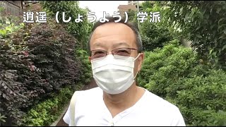 お散歩しながら大事なお知らせ(2020.06.03)