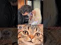 🤣 #aesthetic #cat #funny #happycat #