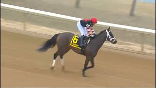 RACE 2 - Aqueduct, 13 MAR 2026