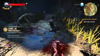 The Witcher 3 Act 2 - Undiscovered Locations (Guarded Treasure)