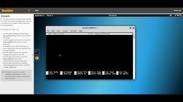 TestOut Lab 9.4.3 - Use Shell Commands