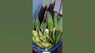 SAGANA SA PROBINSYA Freshvegetables 
