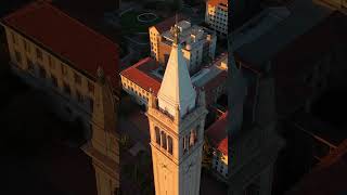 🍂 Fall Calm at UC Berkeley 🍂 Fall Calm at UC Berkeley
