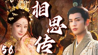 【2025爆火古裝劇】相思傳56 | 前朝公主迪麗熱巴背負國仇家恨蟄伏十年,設法接近當朝帝王張凌赫完成復國大業,不料最後卻真心愛上,愛恨糾纏難解難分!💗 迪丽热巴、张凌赫 💗 | 中國電視劇
