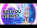 8/8 Lions Gate Portal Is Open! A Message for you from Archangel Metatron.