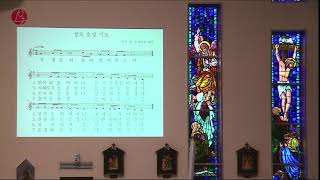 15th Sunday in Ordinary Time Mass