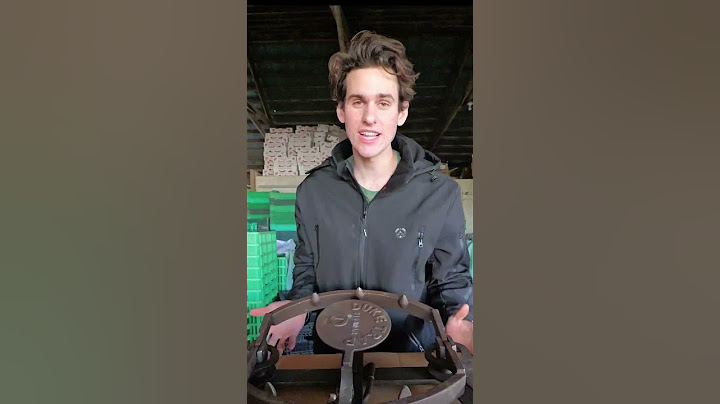 Worlds smallest trap VS Bear Trap! #trap #hunting #shorts