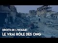 Droits de lhomme  le vrai rle des ong