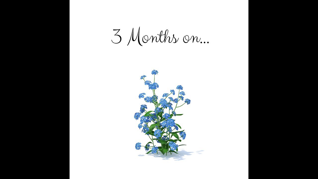 3 Months On | Baby Loss | CDH