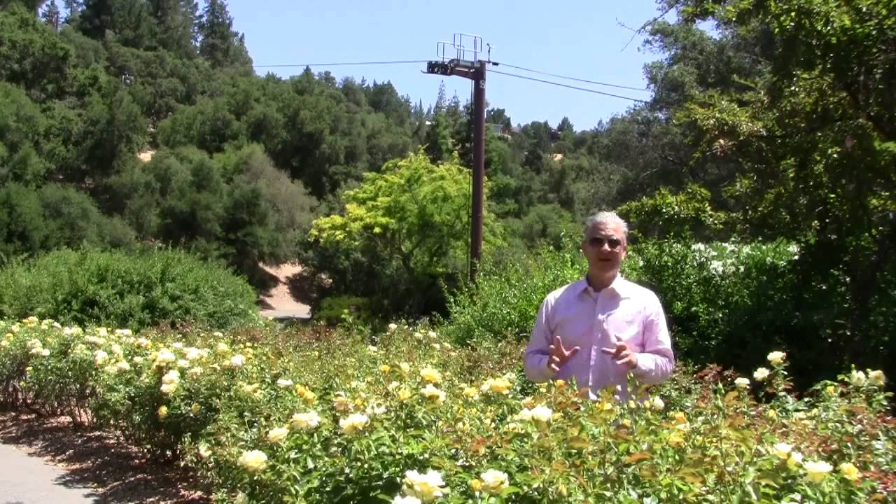 Sterling winery napa valley youtube