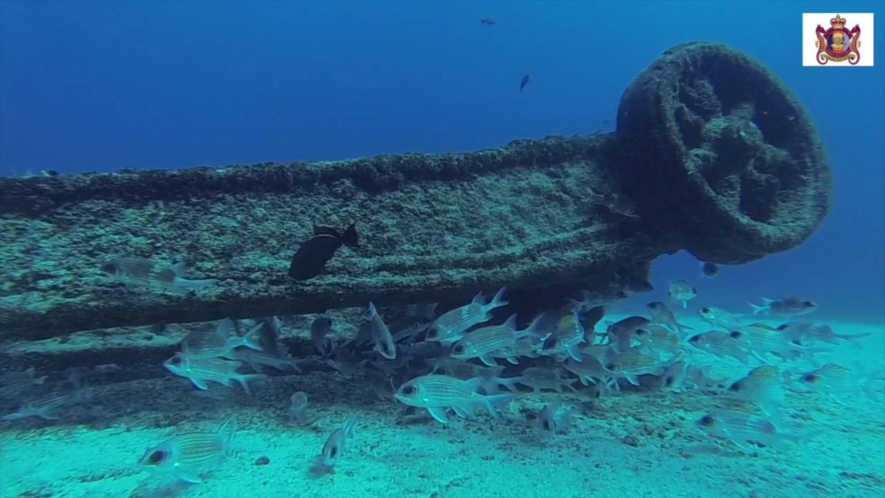 Ascension Island Diving - YouTube