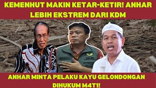 KEMENHUT MAKIN KETAR-KETIR! ANHAR LEBIH EKSTRIM DARI KDM! MINTA PELAKU GELONDONGAN KAYU DIHUKUM M4T1