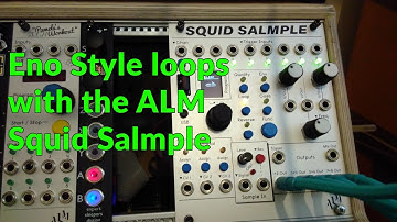 Making Ambient Loops Eno style with the ALM Squid Salmple