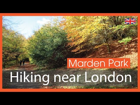Marden Park And Greensand Way The North Downs | | 🇬🇧 Hiking UK | England Drone 4k | Saturday Walk