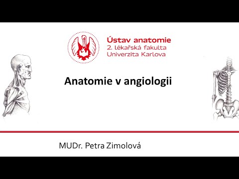 Video: Periosteum: Definice, Anatomie A Funkce Vrstev, Zánět