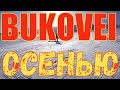 КАРПАТЫ ОСЕНЬЮ. БУКОВЕЛЬ без ЛЫЖ.