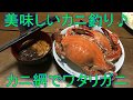美味しいカニ釣り♪カニ網でワタリガニ