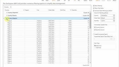 DevExpress WPF DataGrid Demo