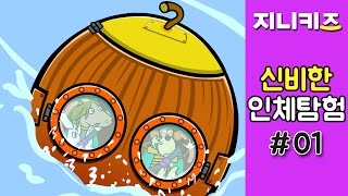 신비한 몸 속 탐험 #1 | 몸 속에 빠진 도토리호 | 인체탐험★지니키즈