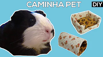 Como fazer túnel para porquinho-da-índia?