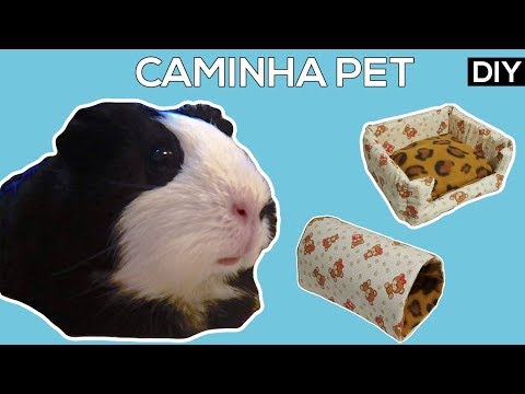 Vídeo: Qual cama de porquinho da índia?