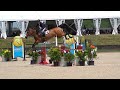 McLain Ward and Alanine De Vains