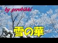 「雪の華」/森若里子 Japanese Koto 大正琴  /gerobikki
