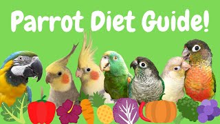 What Should Feed Your Bird? | Complete Parrot Diet Guide | BirdNerdSophie