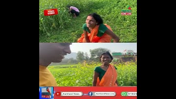 Jharkhand News : भावुक वीडियो, खेत में चारा काट रही थी बहन तभी अचानक पहुंच गया DSP भाई !