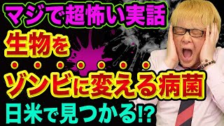 【怖い実話】生物をゾンビに変える病菌、日米で見つかる【ゾンビゼミが世界大量発生】体が無くても飛ぶとマッソスポラと都市伝説