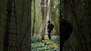 Sounds You've Never Heard Before - Capturing the Hidden Voices of the World #shorts #youtubeshorts