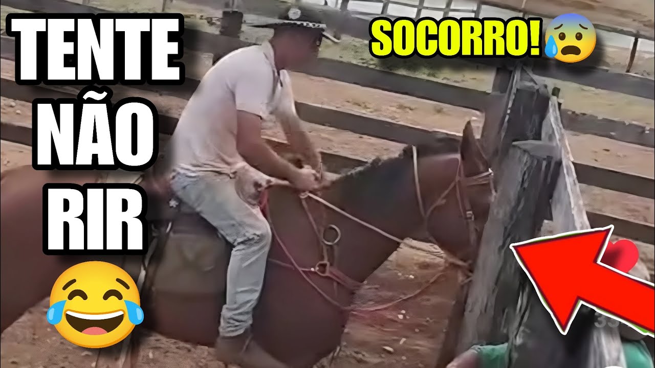 TENTE NÃO RIR: OS MELHORES MEMES DA INTERNET #videosengracados #tentenaorir #humor #memes #comedia 