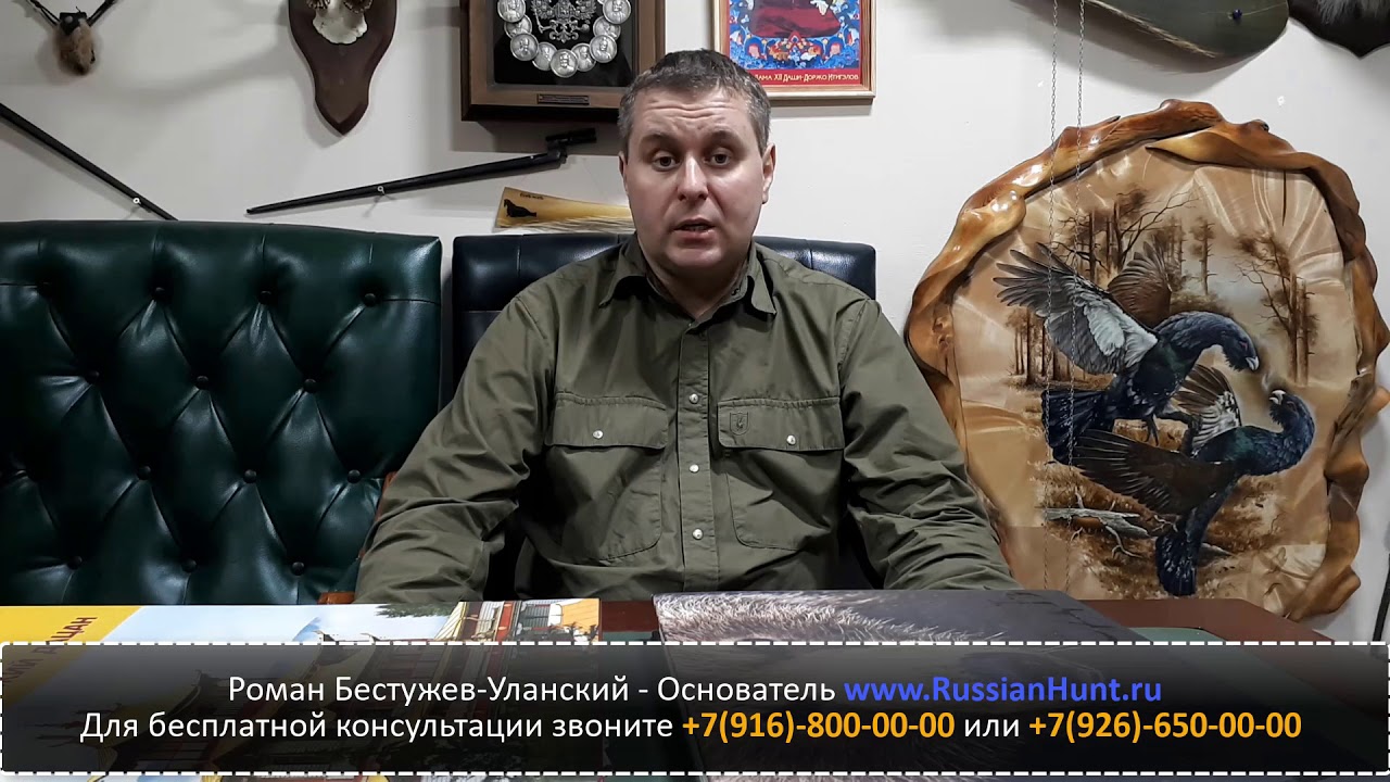 Лечение геморроя барсучьим жиром, бобровой струей, медвежьей желчью, медвежьим жиром