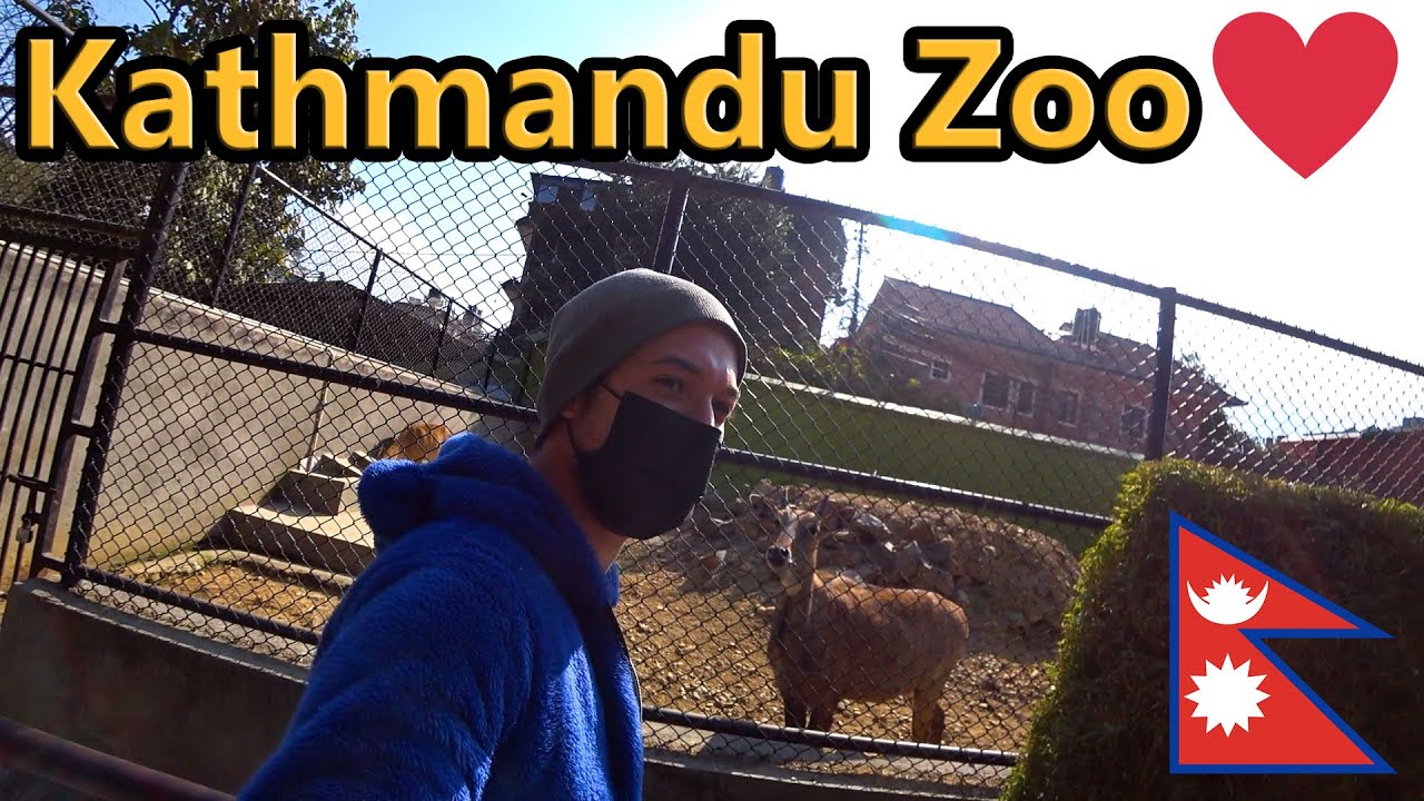 Visiting Kathmandu Zoo || Nepal Vlog 🇳🇵
