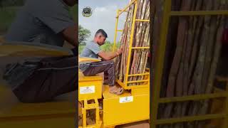 Sugarcane planting machine technology farming agriculture machine ytshorts