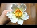 Gumpaste Daffodil Tutorial