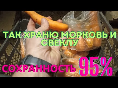 Как сохранить морковку и свеклу до нового урожая. Мой способ хранения моркови и свеклы до лета.