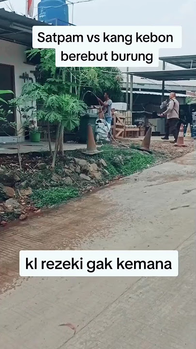 satpam vs tukang kebun dalam menangkap burung